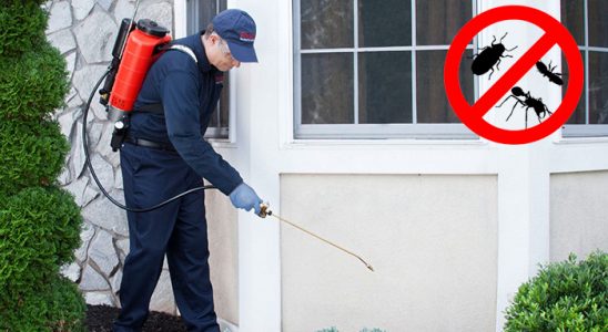 Ağrı Kene İlaçlama böcek ilaçlama ve haşere kontrolü — ilaclama-tr.com